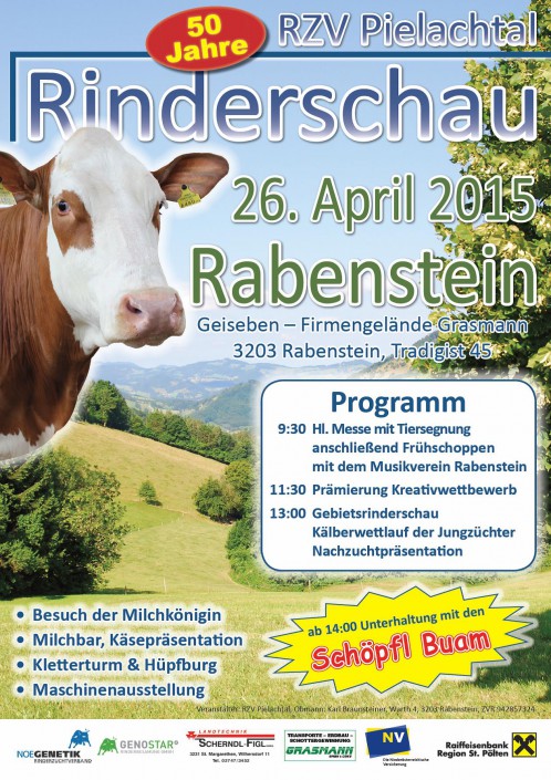 Rinderschau