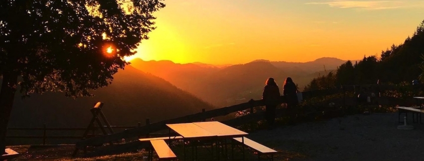 Eibeckalm Richtung Frankenfelsberg Gottfried Langthaler Fotowettbewerb Frankenfels