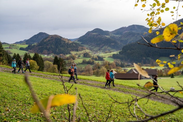 Wandertag 26.Okt. 2022 (10)