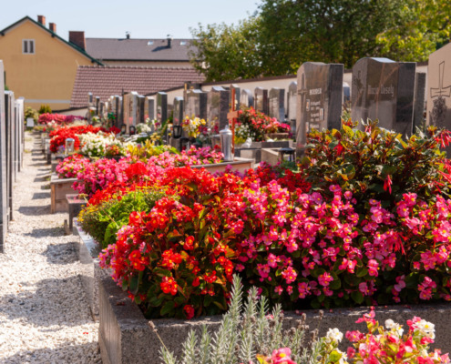 Blumenschmuck Frankenfels (1)