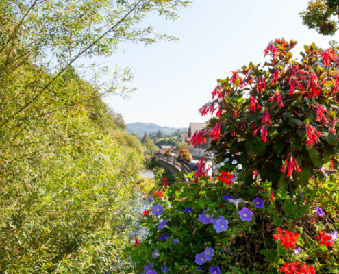 Blumenschmuck Frankenfels (10)