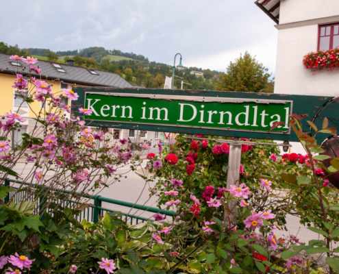 Blumenschmuck Frankenfels (3)