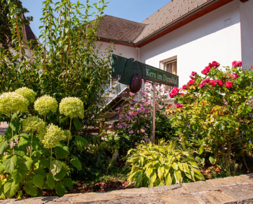 Blumenschmuck Frankenfels (4)