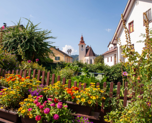 Blumenschmuck Frankenfels (6)