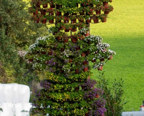 Blumenschmuck Frankenfels (7)