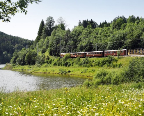 MZB, Sommer, Panoramawagen, außen, Natur