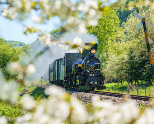 MZB;Sommer;Dampflok;außen;Natur