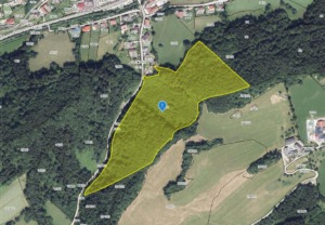 Waldverkauf Frankenfels