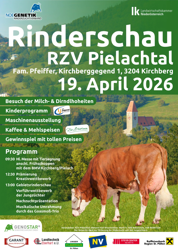 Rinderschau
