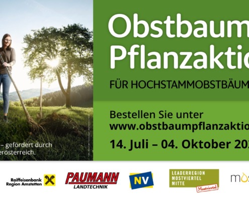 Baum4