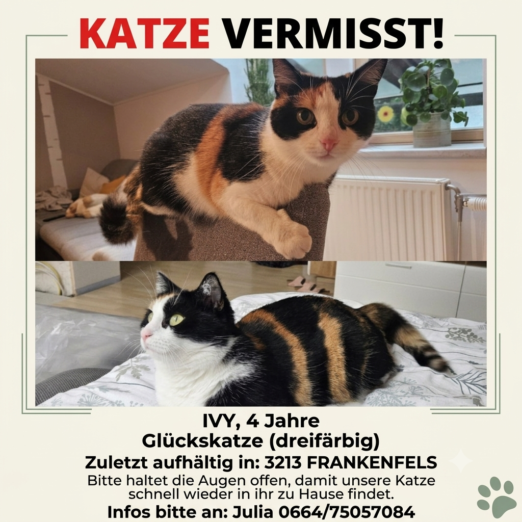 KAtze